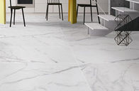 Heldere 24 X 48 Vloertegel, Klassieke het Porseleintegel Matte Surface van Carrara