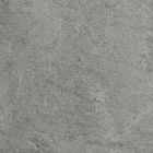 Morandireeks Grey Color Golden Floor Tile 12 van de het Porseleinvloer van de Patronen300x300 mm Grootte Tegels 600x600