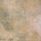 Kijkt het beelden 3d Verglaasde Cement van de de Vloertegel van de Porseleintegel Binnenlandse Ceramische Gele Kleur 600x600mm Grootte